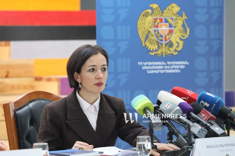 Министр образования Армении Жанна Андреасян выступает с заявлением о судебных исках.