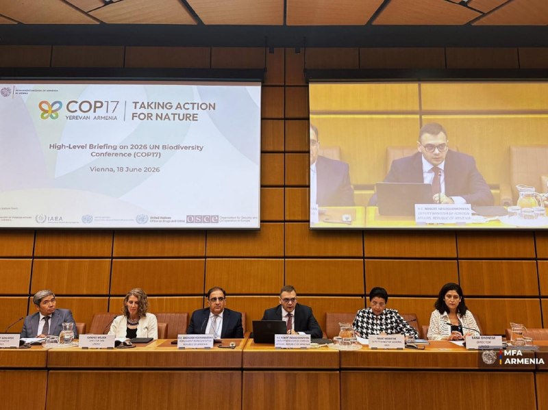 Армения готовится к COP17: брифинг в Вене представил планы по проведению конференции ООН по биоразнообразию