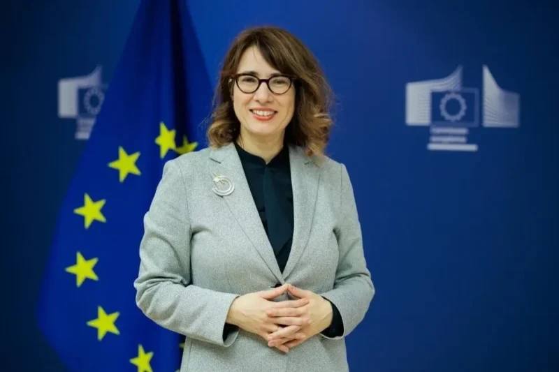 Высокий представитель ЕС Анита Хиппер выступает с заявлением о поддержке Армении.