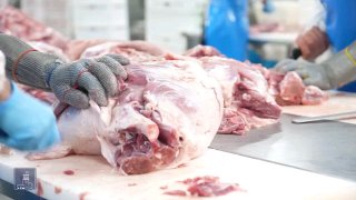 Производство мясных продуктов в Армении: компания «Атенк» запускает новый этап развития