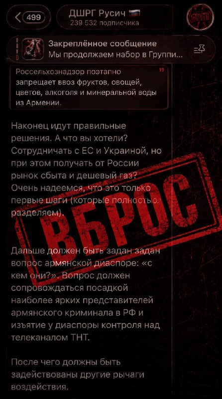 Члены неонацистского подразделения «ДШРГ Русич» на фоне символики, призывающие к давлению на армянскую диаспору в РФ.
