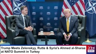 Трамп приостановил торговлю и визиты с Испанией: реакция Мадрида