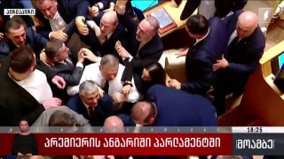 Драка в парламенте Грузии во время отчета премьера Кобахидзе