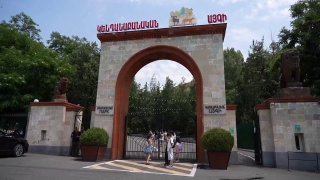 Животные из особняка Гагика Царукяна в Ереванском зоопарке проходят адаптацию